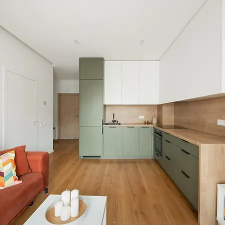 Mindaugas Designer With Balcony Apartment